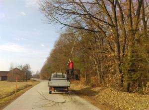 2019 februar 087